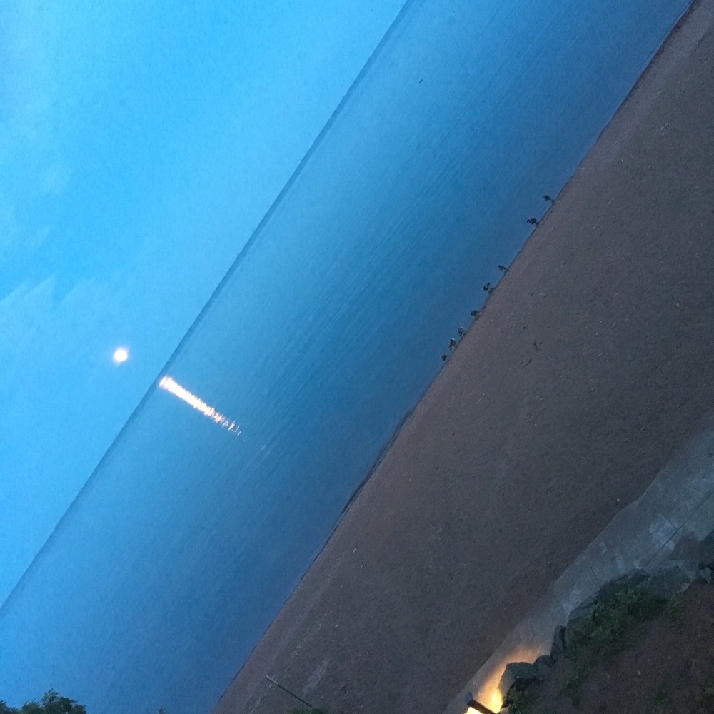 Meet your Posher, Madeleine